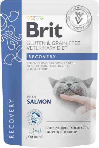 BRIT VD Recovery - Plic pentru pisici - recuperare - refacere nutritiva 85g